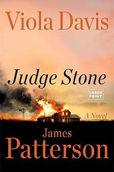 Judge Stone book cover