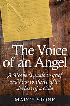 The Voice of an Angel book cover