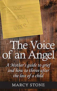 The Voice of an Angel book cover